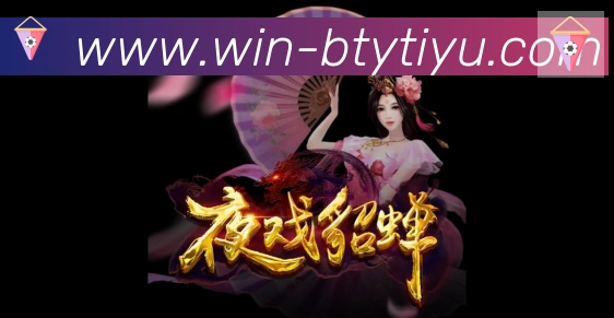 互动解说服务